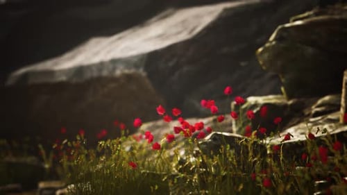 Gravel Path with Rocks in Mountains