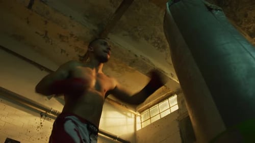 Low angle view of a boxer training