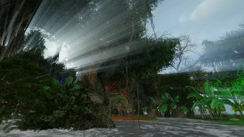 Das Gefühl des Waldes bei Regen