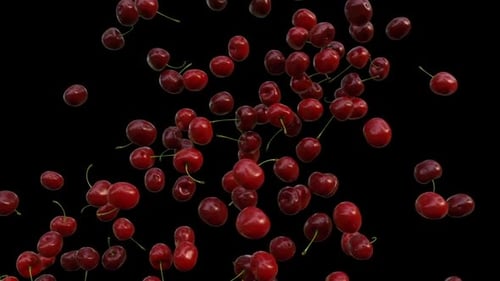 Realistic Falling Red Cherries with Alpha Channel