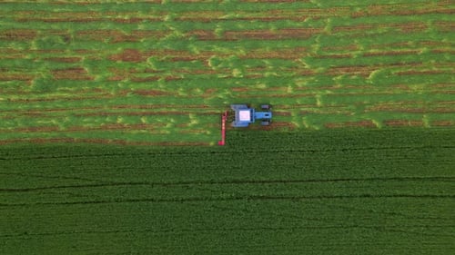 Von oben nach unten Luftaufnahme des Mähens mit einer landwirtschaftlichen Maschine Traktor mit Mähern auf dem großen Farmfeld