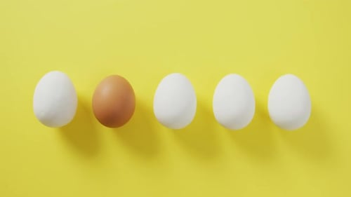 Video of row of one brown and four white eggs with copy space on yellow background
