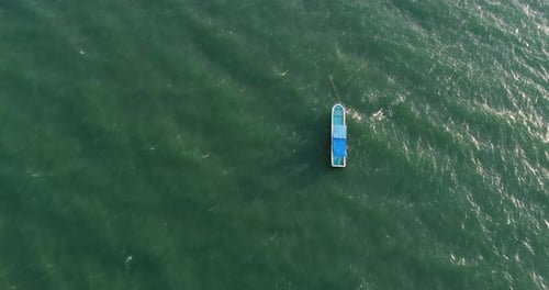 Aerial view of speed boats on the sea near beach city