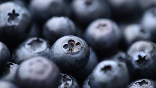 Close Up of Fresh Ripe Blueberries