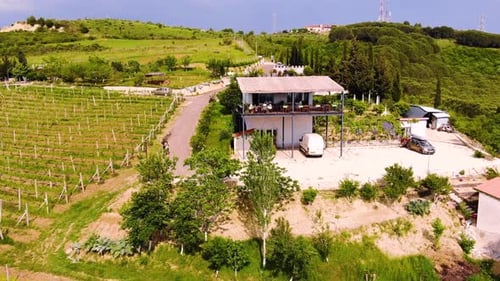 Aerial Drone View Over Vineyards Towards Agricultural Fields During Sunset
