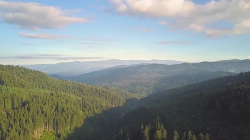 Aerial View of Mountains Covered with Forest Trees with Blue Sky Above