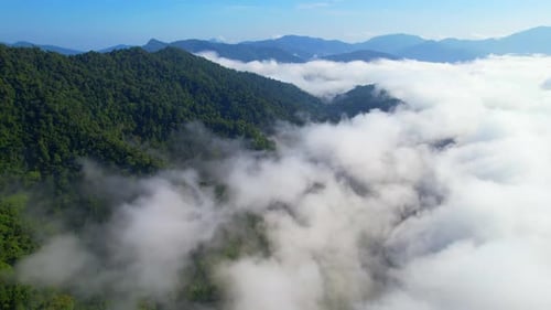 An aerial view from a drone flying over the many fogs in the mountains
