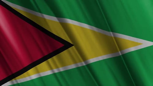 Realistic Guyana National Flag Waving Animation