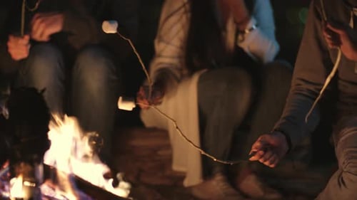 Friends Roasting Marshmallows Around Campfire at Night