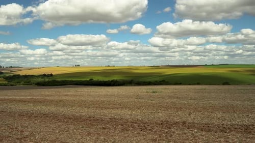 Soybean Field After Harvest Pan