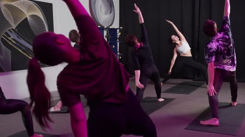 Group Making Training Exercises at Home Gym