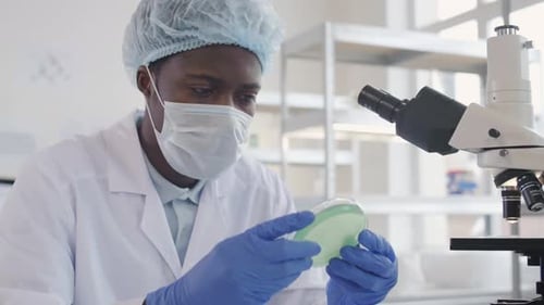 Researcher Analyzing Sample in Petri Dish