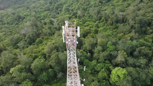 Telecommunication tower in rural area of forest