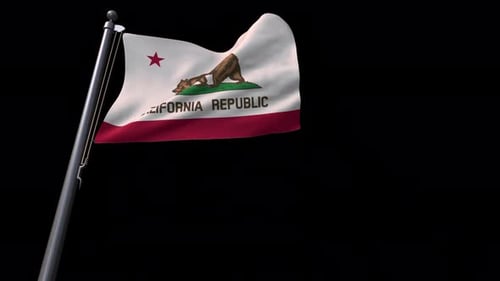 California State Flag Waving on a Pole