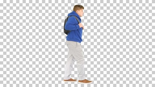 Male student with a backpack walking, Alpha Channel