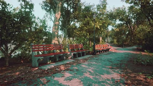 Empty Benches at Public Park During Curfew Cause of Corona Virus Quarantine