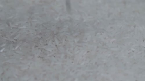 White Rice Falling and Rotate