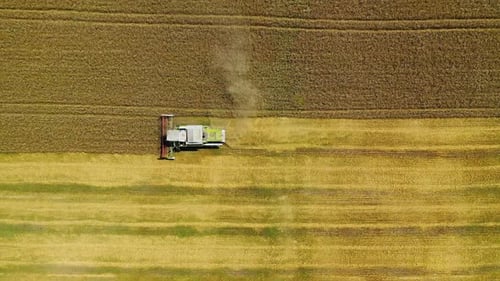 Combine harvester working on the field.