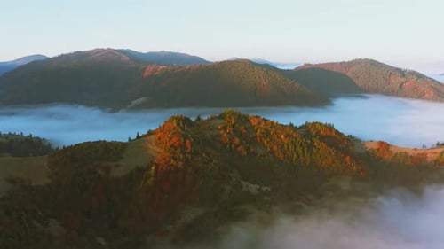 Mountain Hills Covered with Colorful Forests and Thick Fog