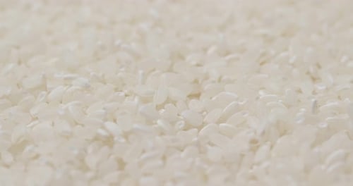 Uncooked white Japonica rice