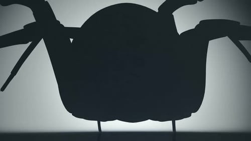 Animation einer gruseligen giftigen Spinnensilhouette, die ihren Schatten an der Wand beobachtet.