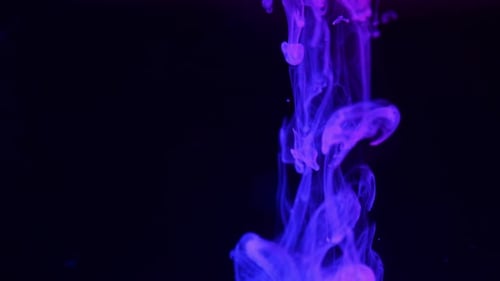 Colorful Ink Swirling in Water Abstract Shot
