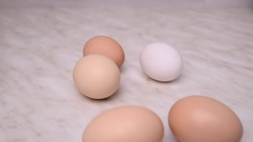 Various Colored Eggs Sitting on a Counter