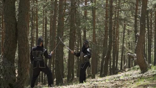 Swordsmen Practice Fighting in Forest Clearing