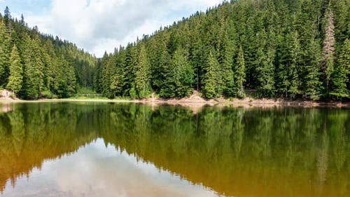 Beautiful Landscape. Sky And Pine Forest are Reflected in the Water of Lake Synevyr in Time Lapse