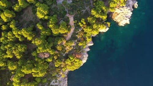 Croatia. Aerial view on rocks and forest. Vacation and adventure. Rocks and turquoise water.