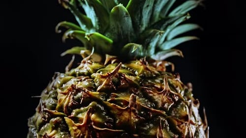 Juicy Fresh Big Pineapple Rotating on Black Background. Fruit Isolated. Macro Surface of Tropical