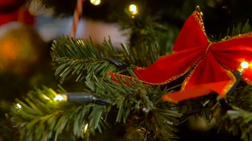 Festive Red Bow on Christmas Tree With Lights