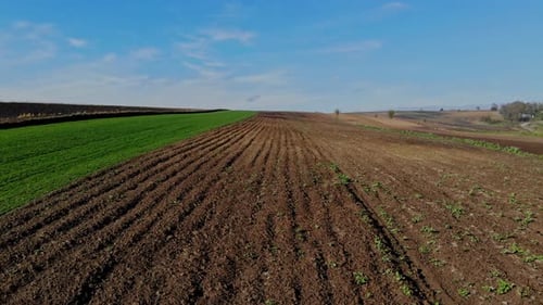 Aerial View of Lush Rural Farmland Landscape