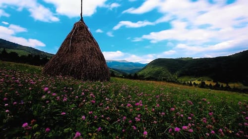 summer mountain landscape slow motion