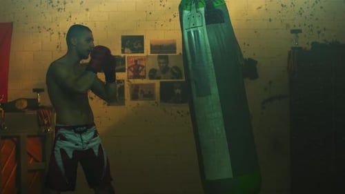 Young boxer training