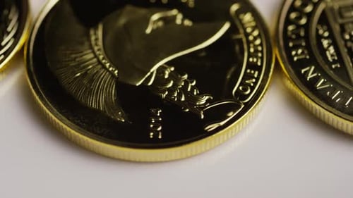 Plan rotatif de Titan Bitcoins (cryptomonnaie numérique) - BITCOIN TITAN