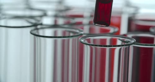 Blood Test