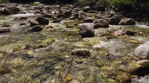 River Water Flow at Summer in the Mountain Forest