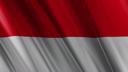 Seamless Waving Red and White National Flag Background