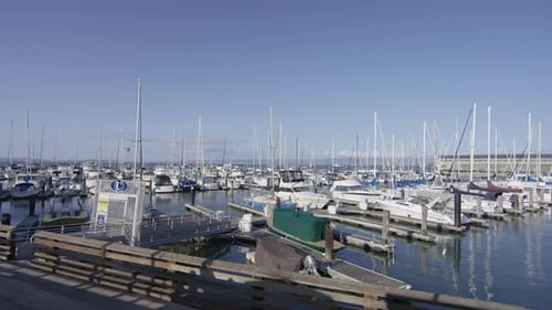 Marina with boats