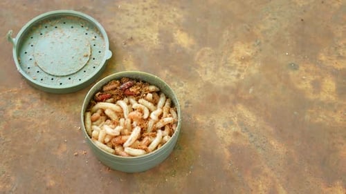 Maggots Crawling Out of a Bait Container