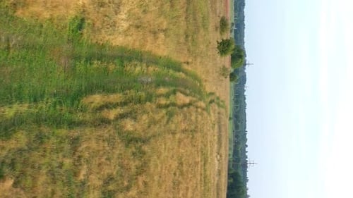 Herbstliches Feld