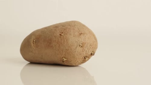 Close Up of Simple Brown Russet Potato