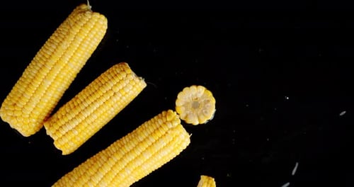 Round Pieces of Corn Roll on the Water.