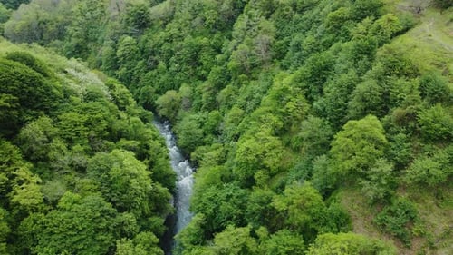 Aerial Shot Of The River Between The Mountains And Forest