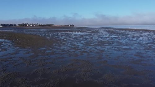 Group of flamingos are flying over the shallow area of the shore near Walvis Bay