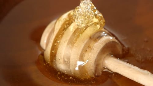 Golden Honey Poured Onto Wooden Honey Dipper