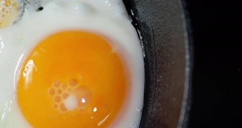 The Egg Is Fried in a Frying Pan. Slow Rotation.