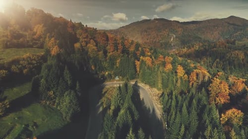 Majestic Mount Nature Forest Scenery Aerial View