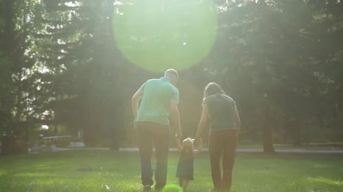Family Walking in the Park on a Sunny Day